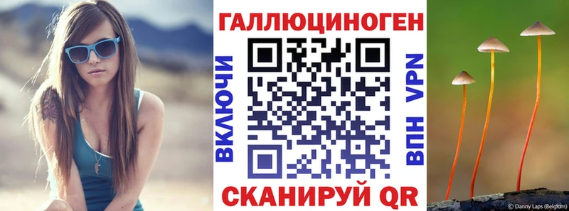 Купить закладки  Истра  Псилоцибиновые грибы GOLDEN TEACHER 